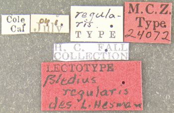Media type: image;   Entomology 24072 Aspect: labels